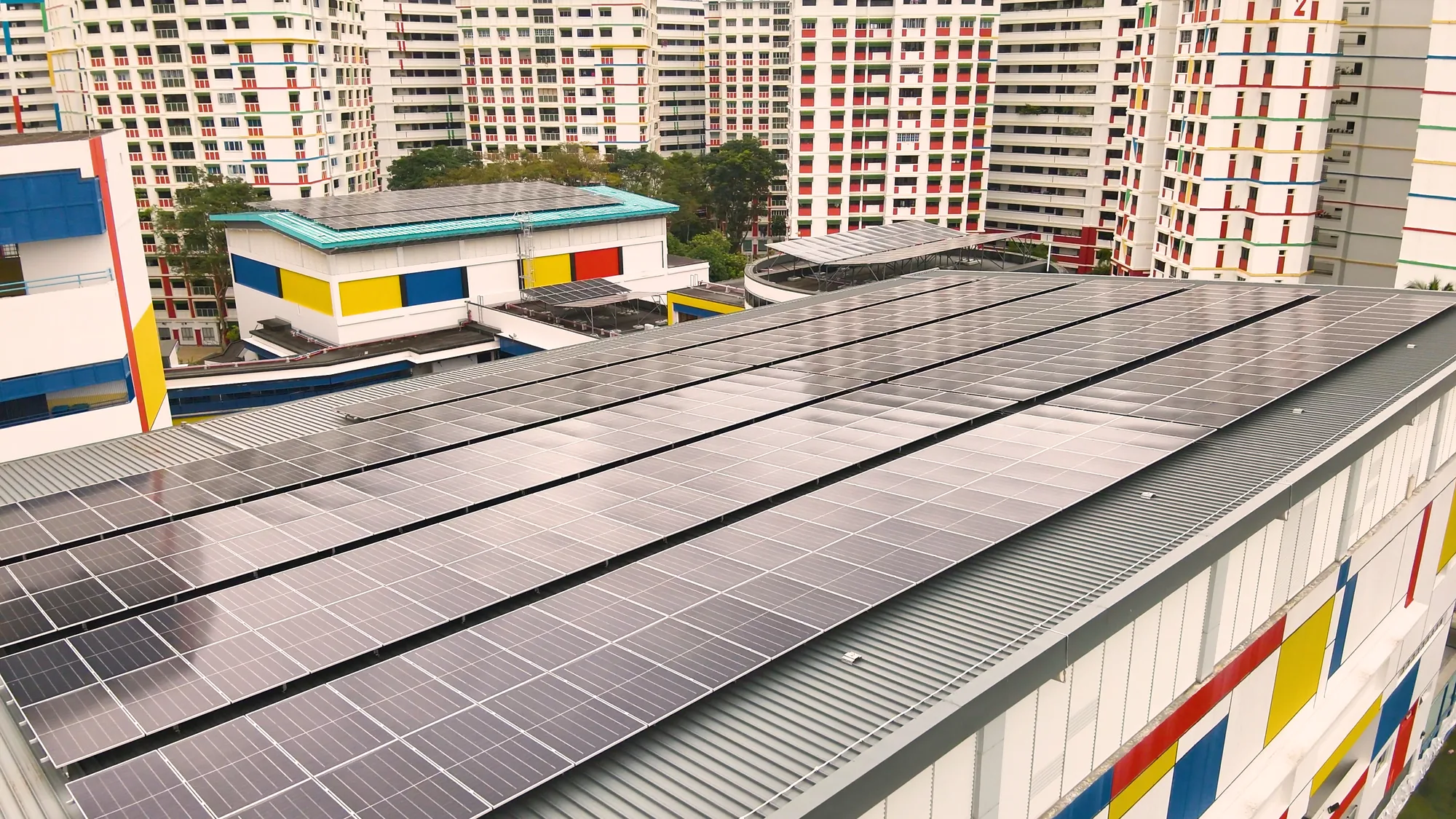 Sembawang Primary School, photo 12