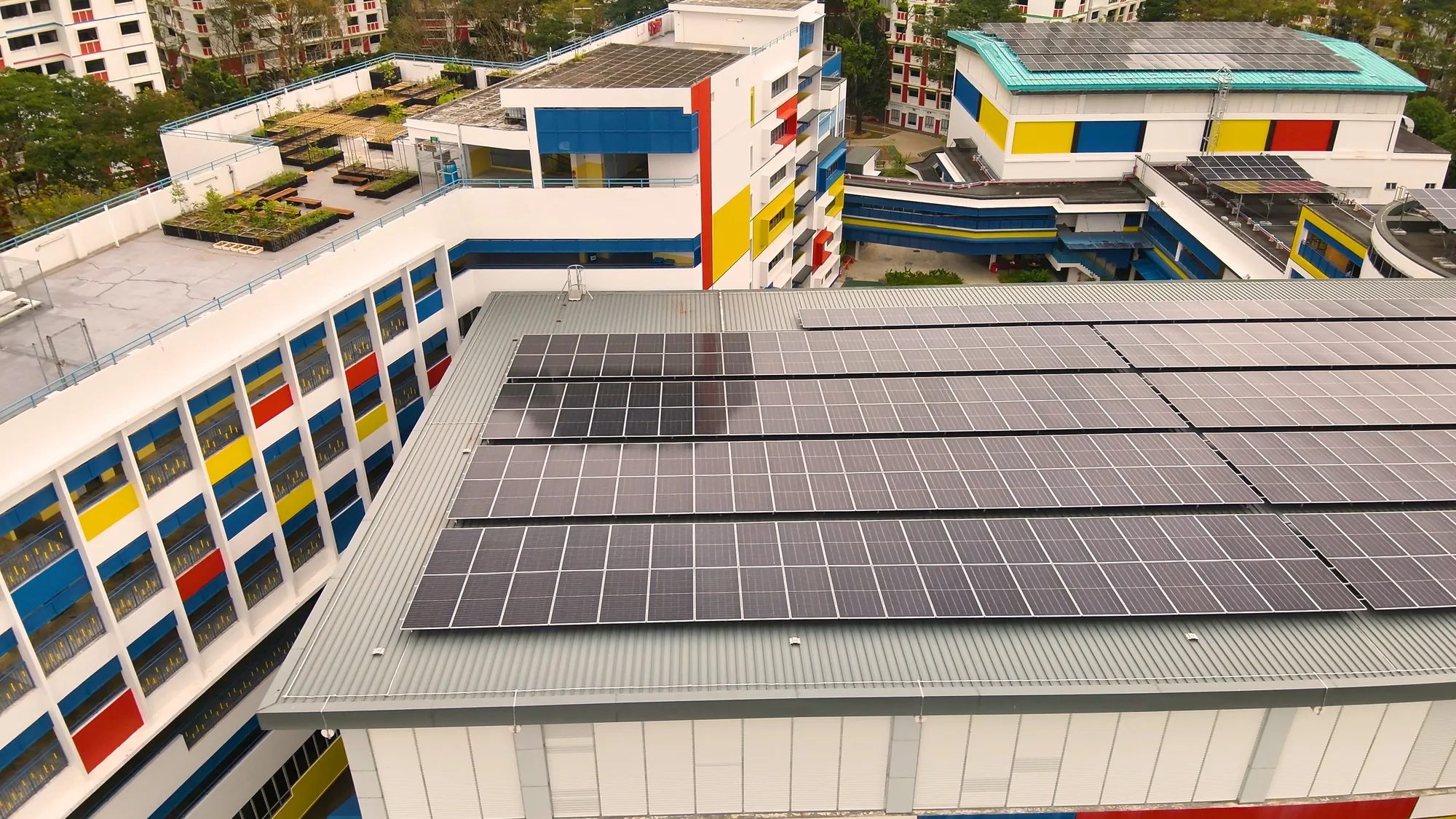 Sembawang Primary School, photo 15