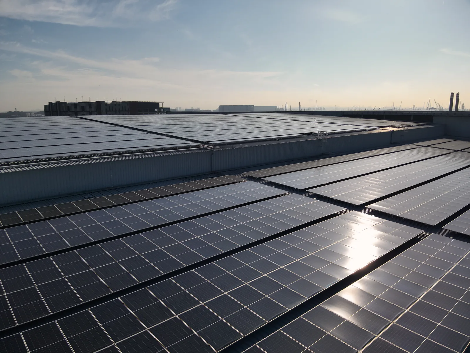 Solar array, golden hour